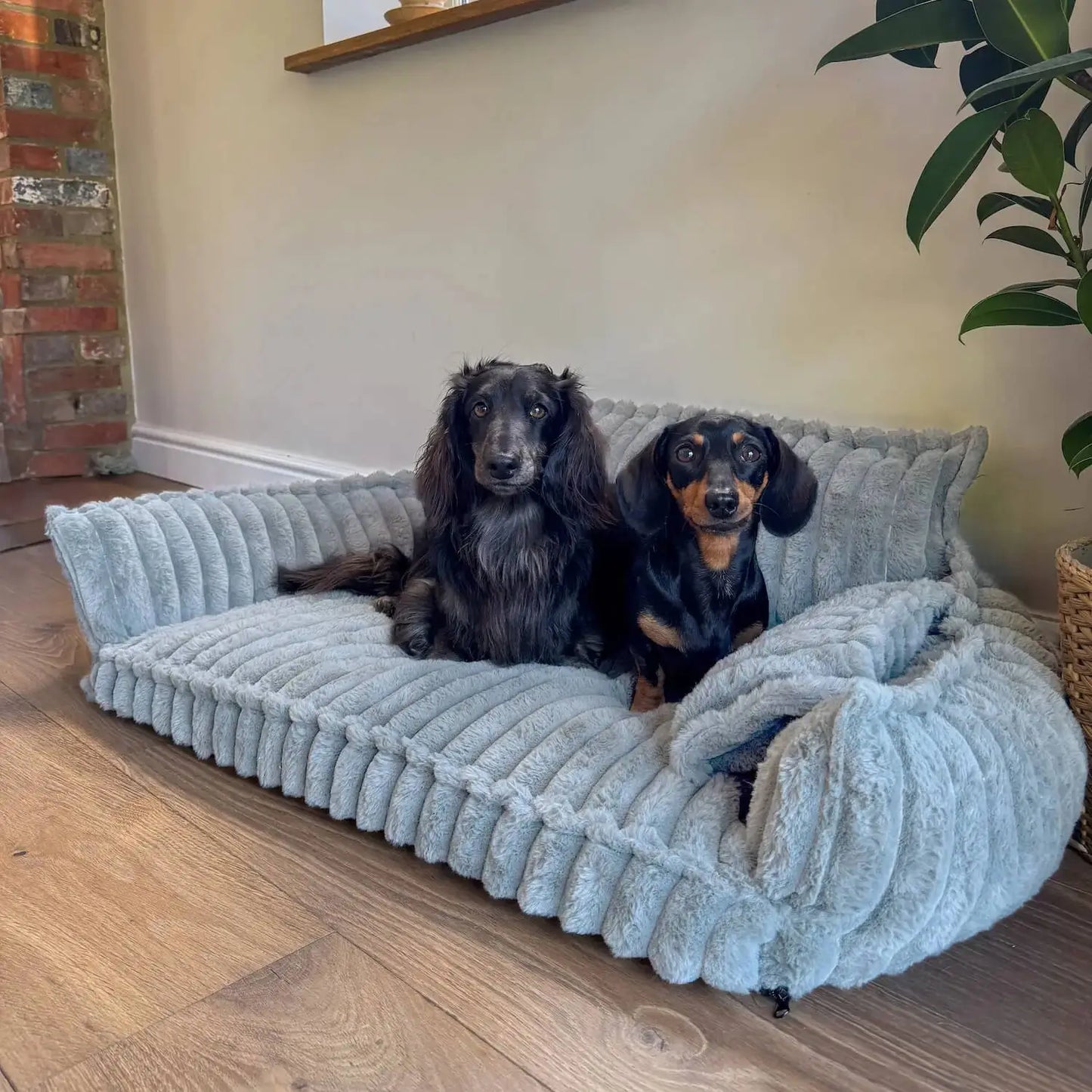 MrFluffyFriend - Le Meilleur Canapé Orthopédique Pour Chiens