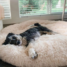 Charger l'image dans la galerie, MrFluffyFriend® - Coussin Anti-Stress Pour Chien
