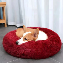 Charger l'image dans la galerie, MrFluffyFriend® - Coussin Anti-Stress Pour Chien