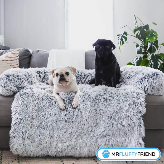 Le meilleur tissu de canapé pour les chiens : Un guide complet