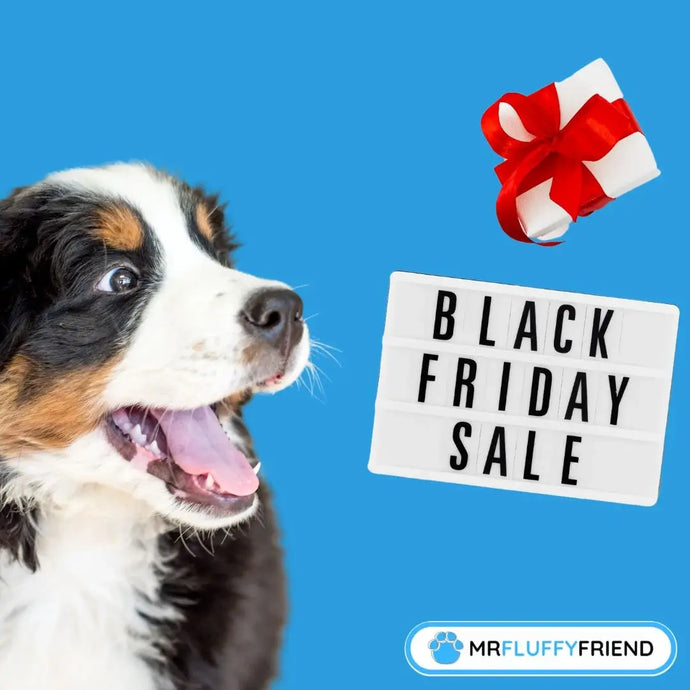 Offres Black Friday pour animaux : Top 3 pour tes amis poilus