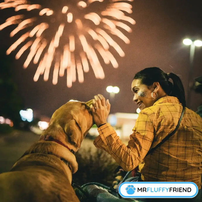 Astuces Testées : Comment Calmer Votre Chien Pendant les Feux d’Artifice