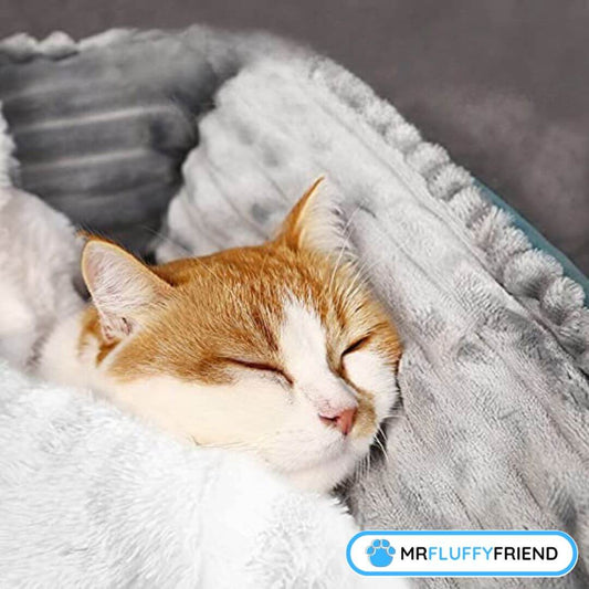 meilleures couvertures pour les chats
