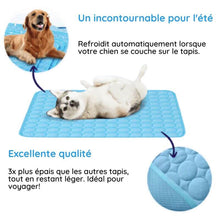 Charger l&#39;image dans la galerie, MrFluffyFriend™ - Tapis Refroidissant Ultime pour les Animaux
