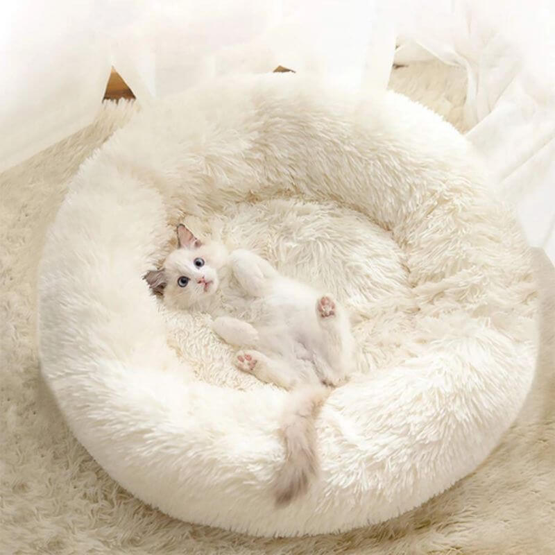 MrFluffyFriend™ - Coussin Anti-Stress Pour Chat