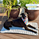 MrFluffyFriend® - Tapis rafraîchissant pour chien (NEW)