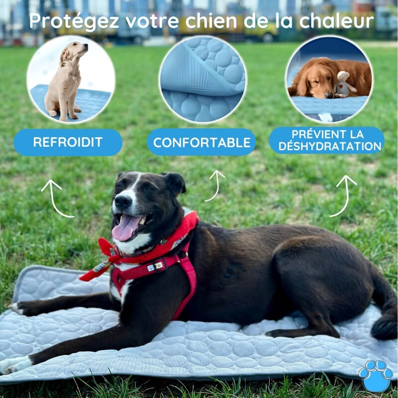 MrFluffyFriend™ - Tapis Refroidissant Ultime pour les Animaux