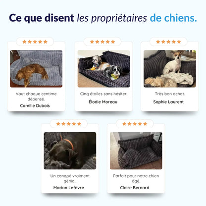 MrFluffyFriend® - Canapé orthopédique lavable pour chien