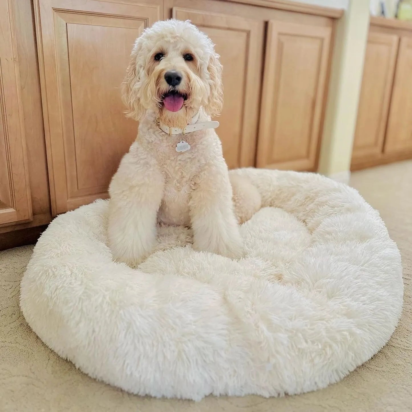 MrFluffyFriend® - Coussin Anti-Stress Pour Chien