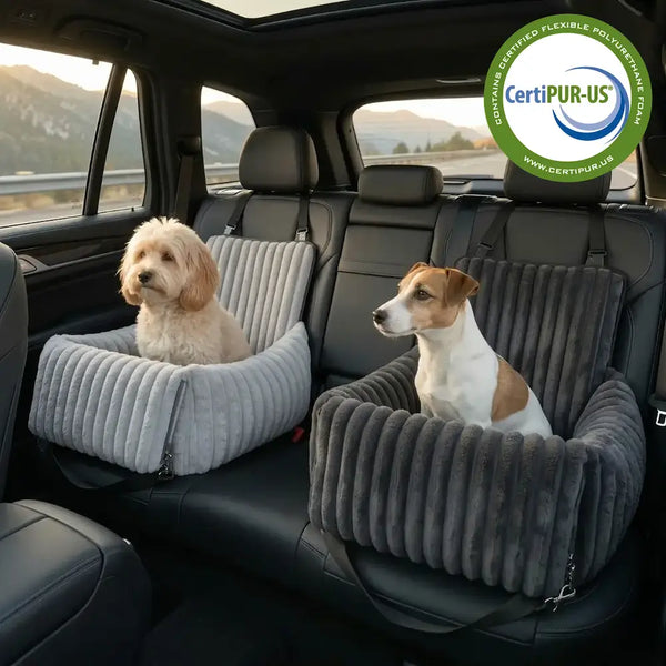 Rends chaque trajet en voiture sûr et confortable pour ton chien